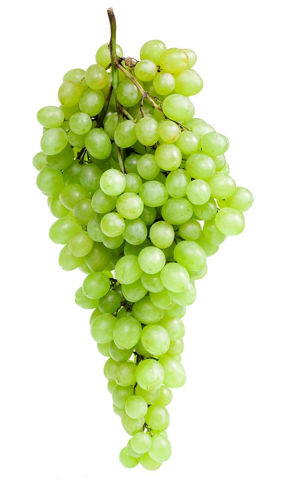 Free green grapes on white background image, public domain food CC0 photo.