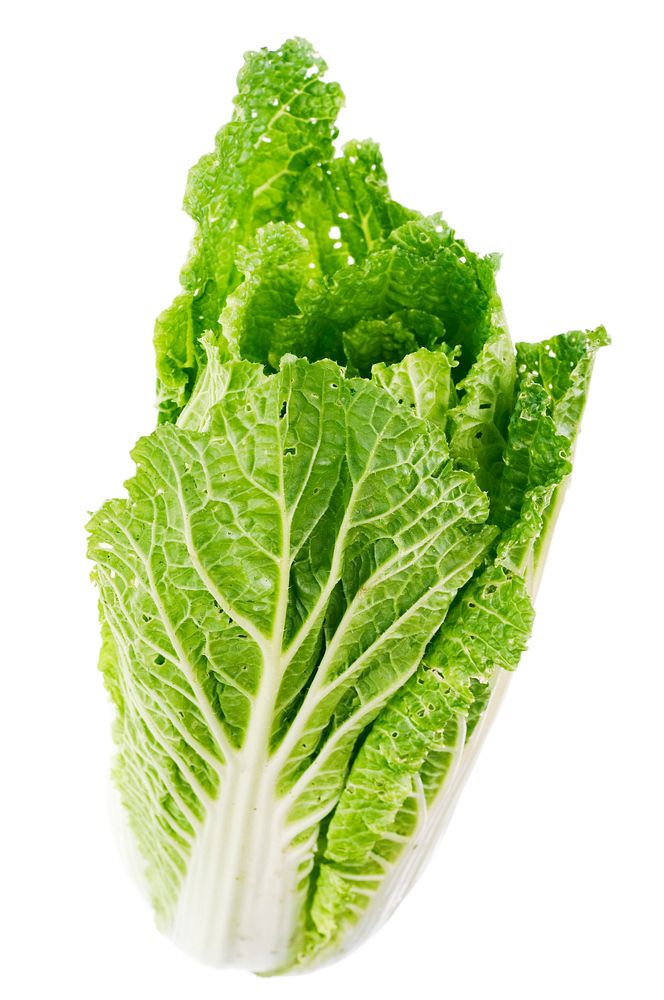 Free lettuce leaf on white background photo, public domain food CC0 image.