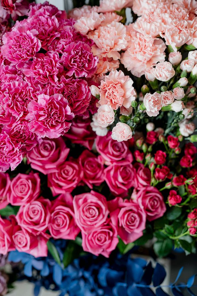 Pink and peach carnations with pink roses in a flower shop