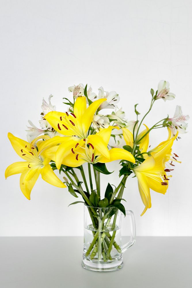 Asiatic lily in a vase by the wall