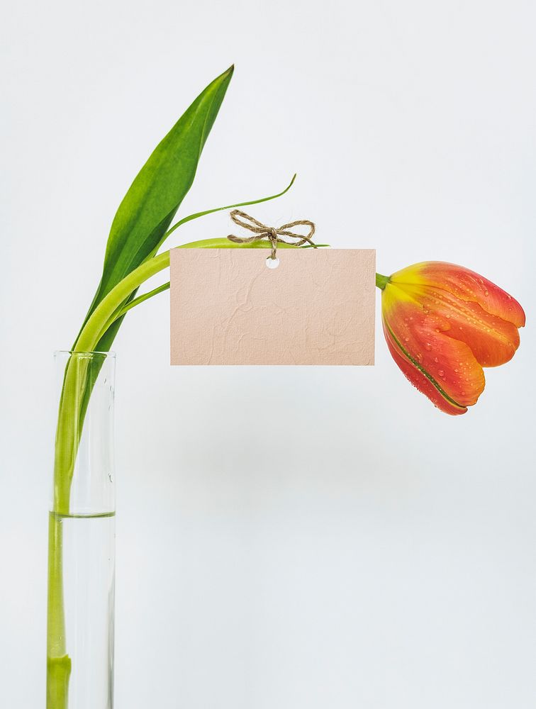 Tulip with an orange tag mockup in a cleared vase