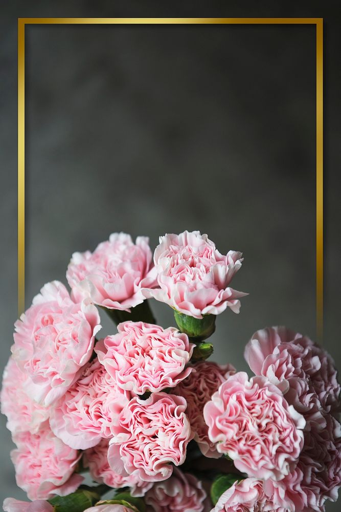 Golden frame with pink carnation wallpaper design