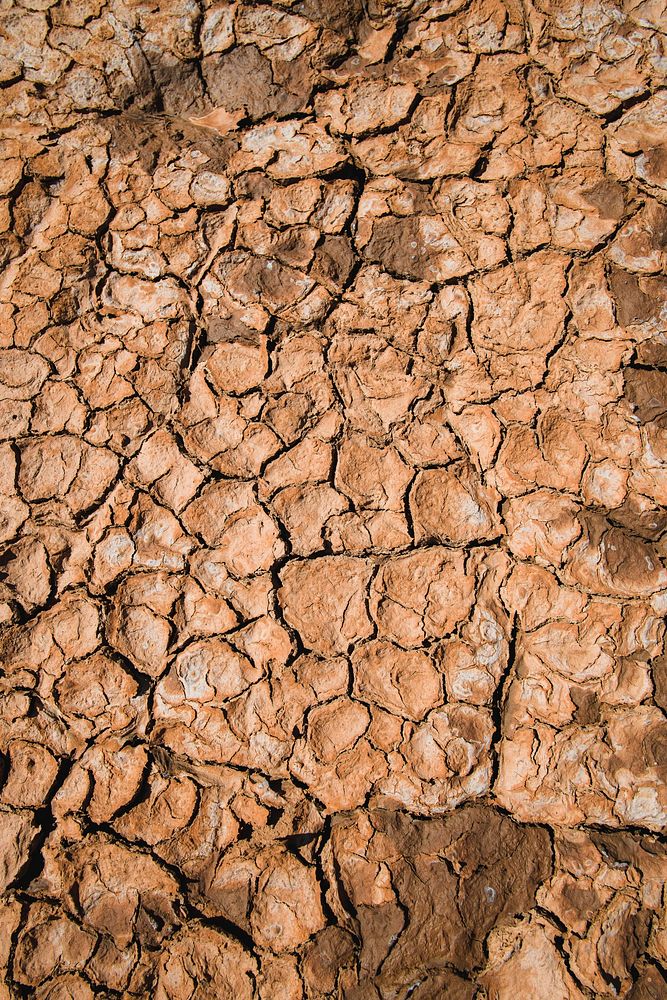 Macro shot of scorched earth
