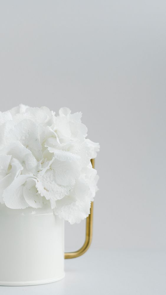 White peony in a white watering can