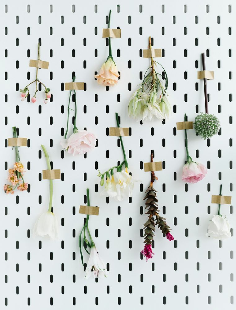 Pink and white flowers hanging upside down on a white wall