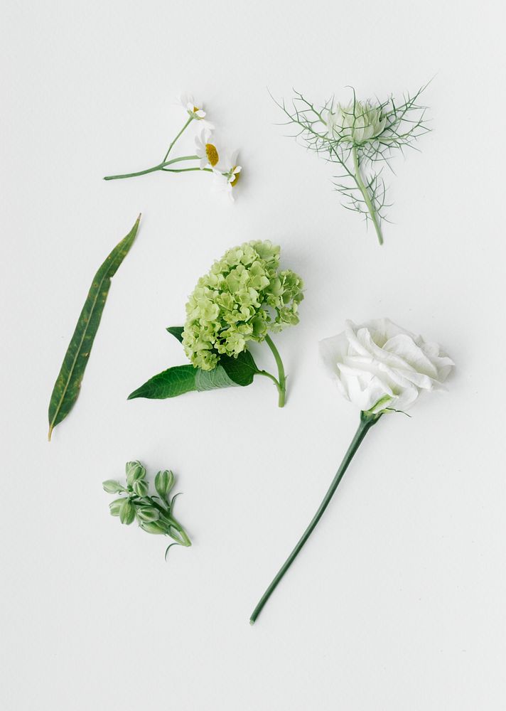 White flowers on a white background flatlay