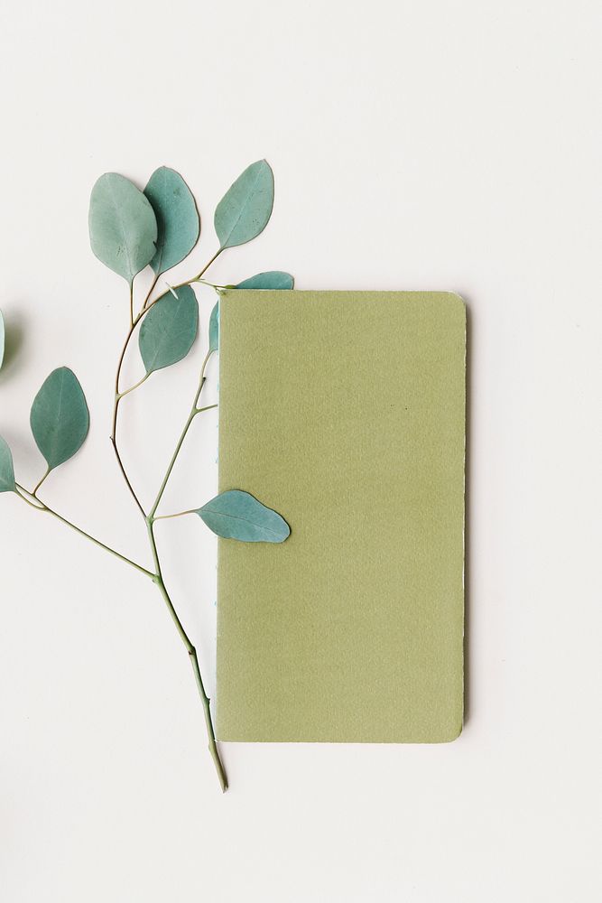 Eucalyptus leaves by an empty notebook cover