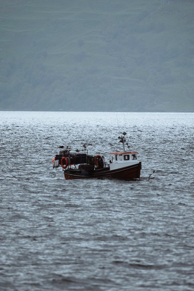 Little boat sailing to the Treshnish Isles