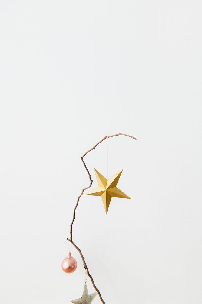 Festive golden star on a branch