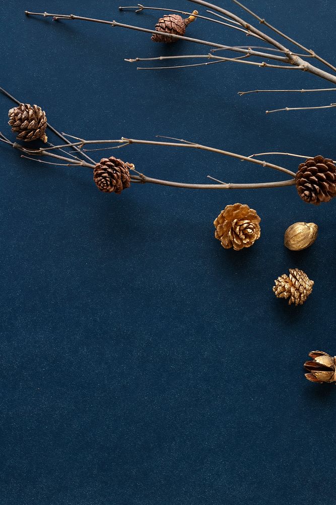 Golden pinecones on a branch