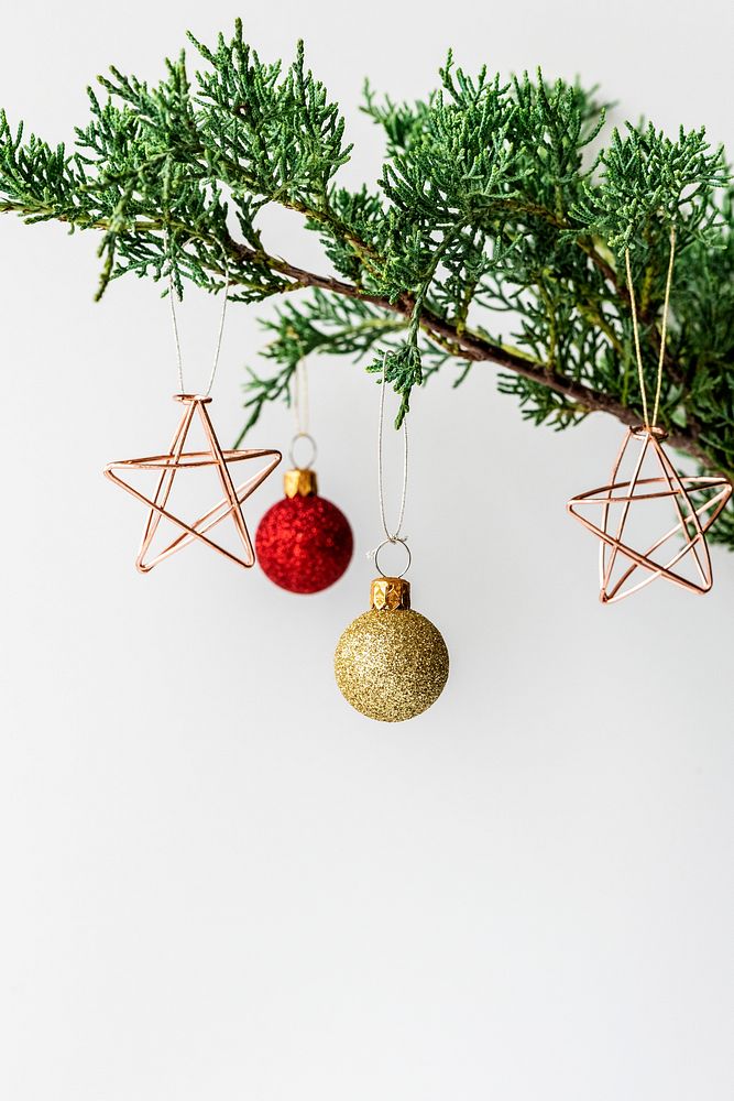 Festive Christmas ornaments on a branch