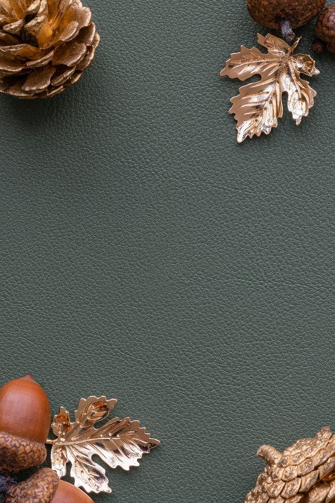 Acorns and pinecones on a gray background