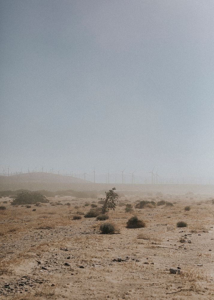 View of the Californian desert