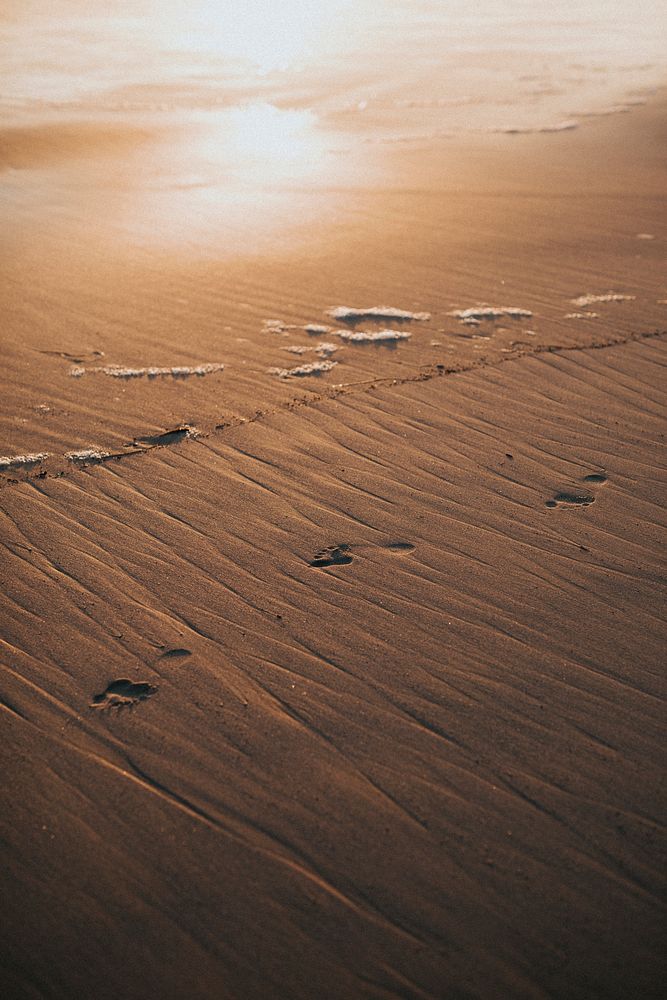 Footprints in the wet sand