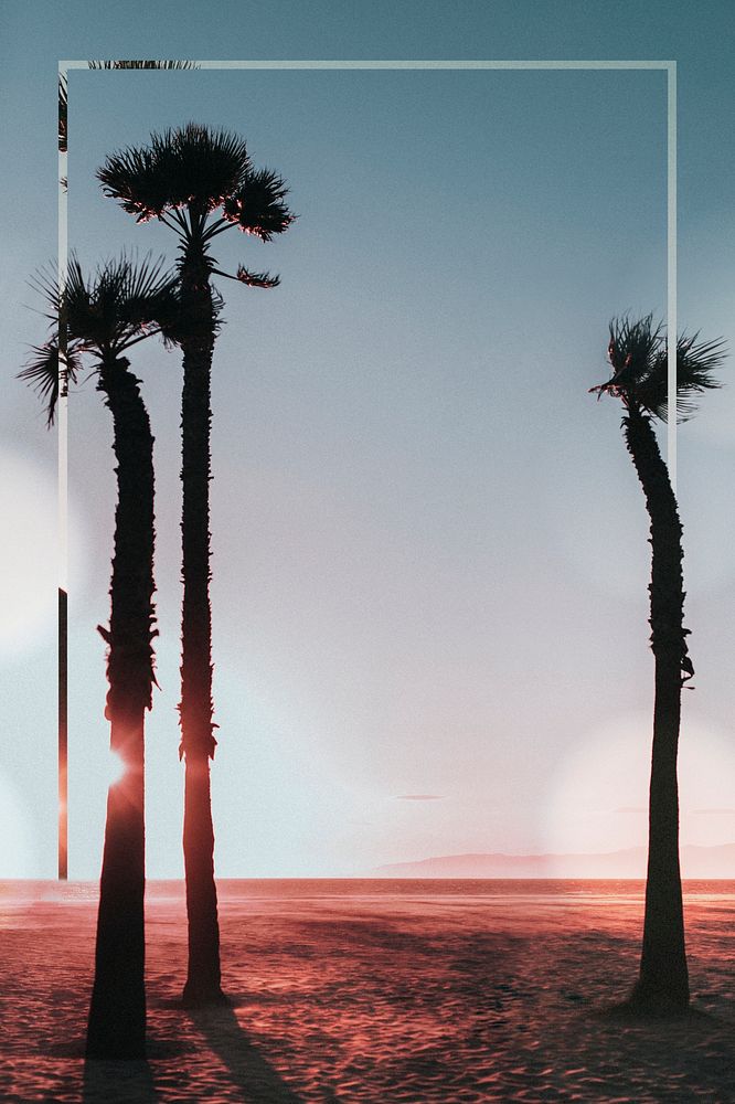 Tall palm trees at the beach frame