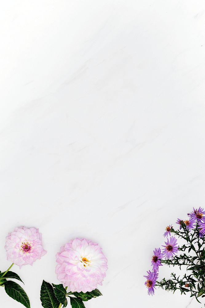 Dahlias and asters on white marble background