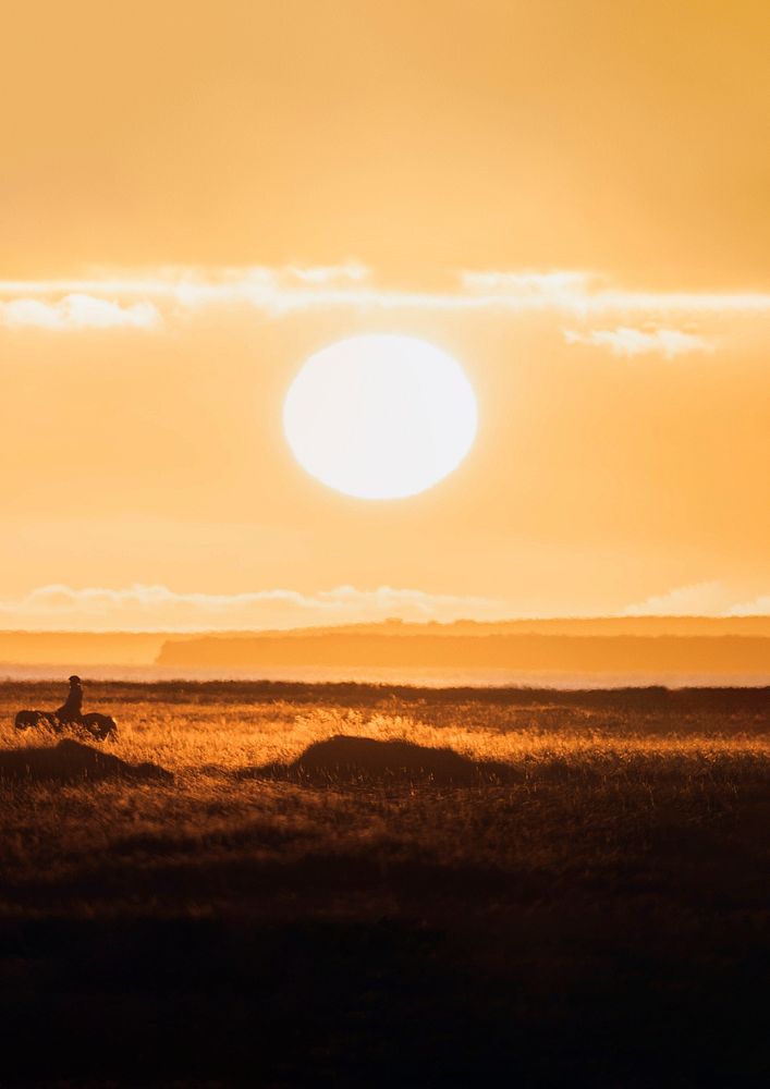 Trail riding on Icelandic horses at sunset
