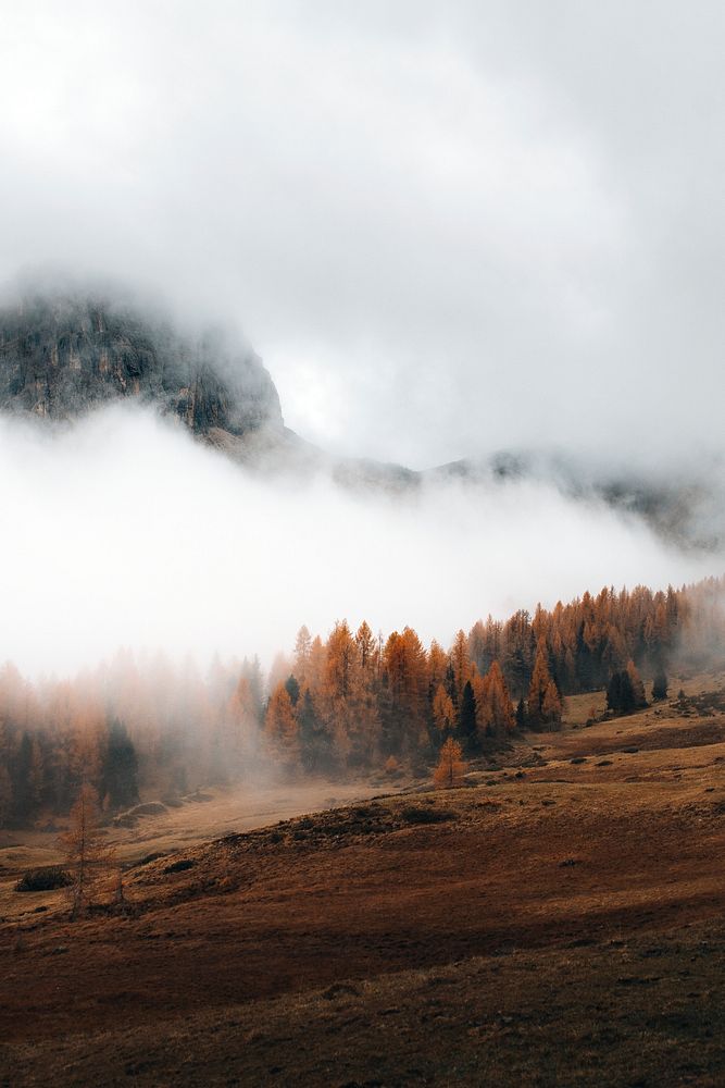 Dolomites shrouded by the mist