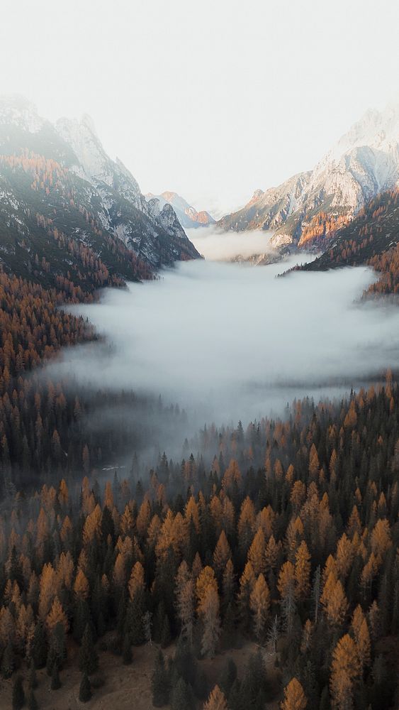 Nature iPhone wallpaper background, misty Dolomites during autumn