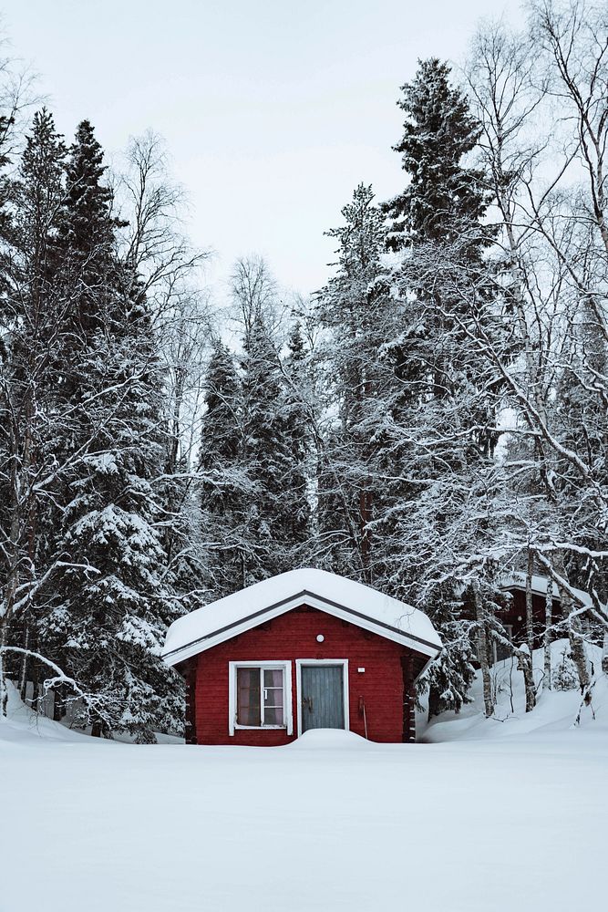 Red cabin in a snowy forest