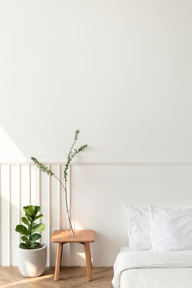 House plants by a mattress on the floor