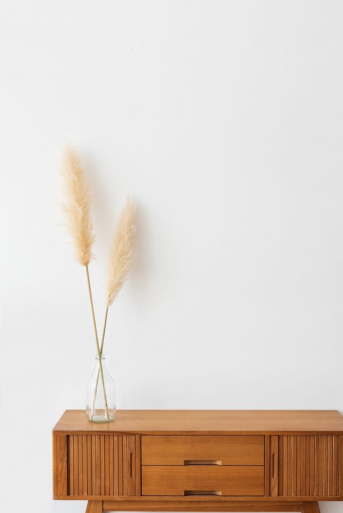 Vase of dry pampas grass on a wooden cabinet in a white room