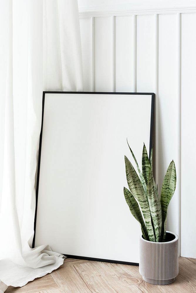 Snake plant in a gray plant pot by a blank picture frame  on the floor