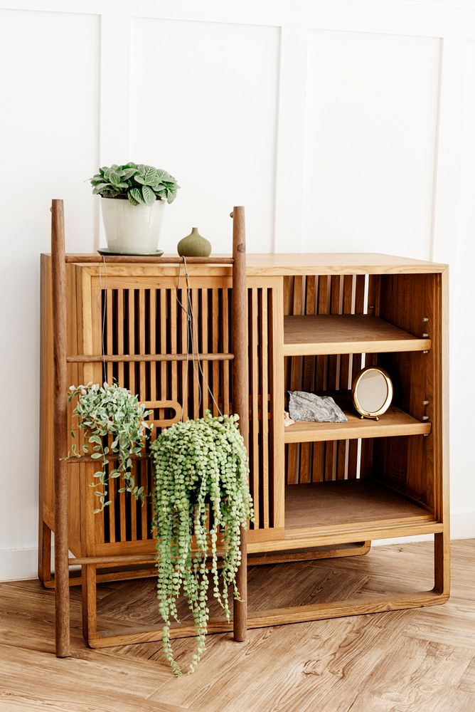 Plants hanging on a wooden ladder by a vintage cabinet