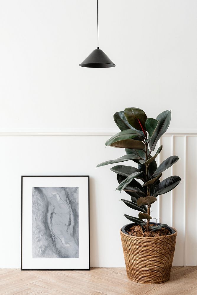Picture frame mockup by a rubber plant on a wooden floor
