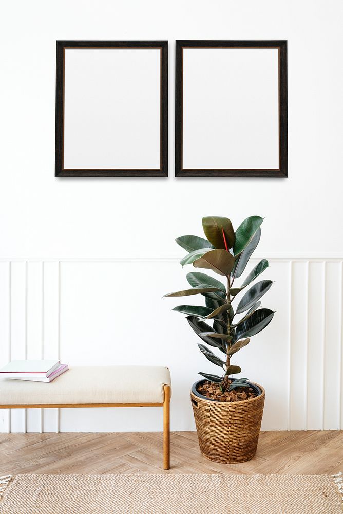 Blank picture frames hanging on a white wall