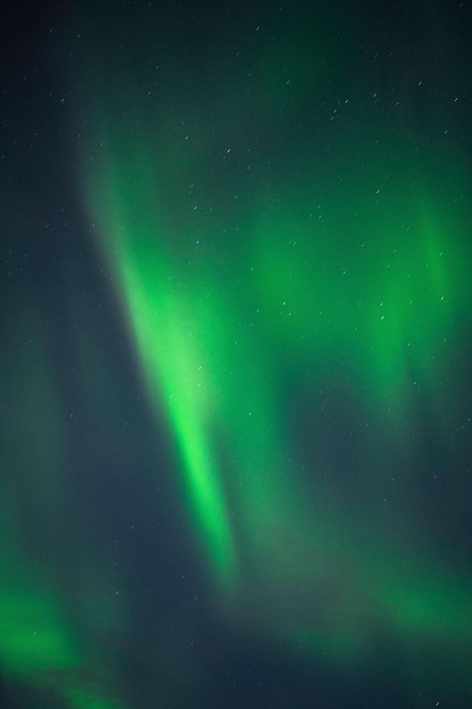 The northern lights on Lofoten island in Norway 