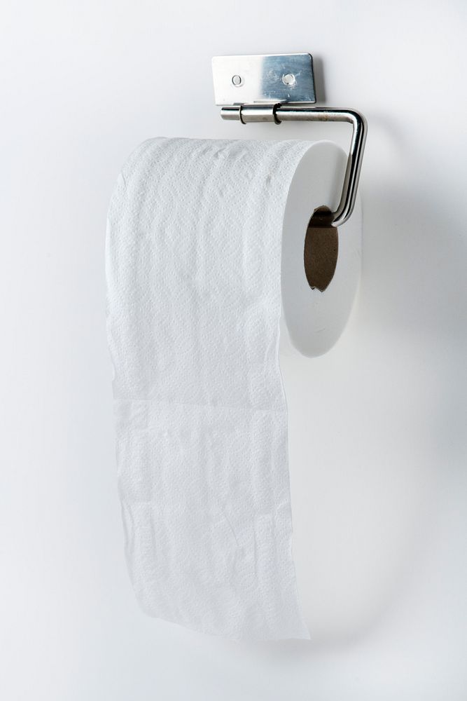 Toilet tissue roll on a holder