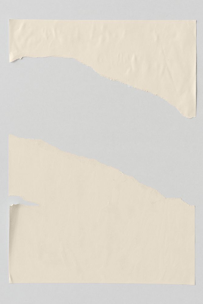 Beige torn paper mockup on the wall