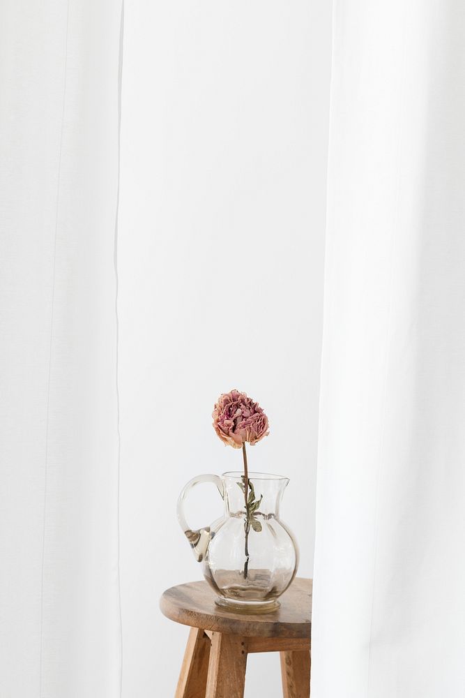 Dry peony flower in a glass jug on a wooden stool in a white room