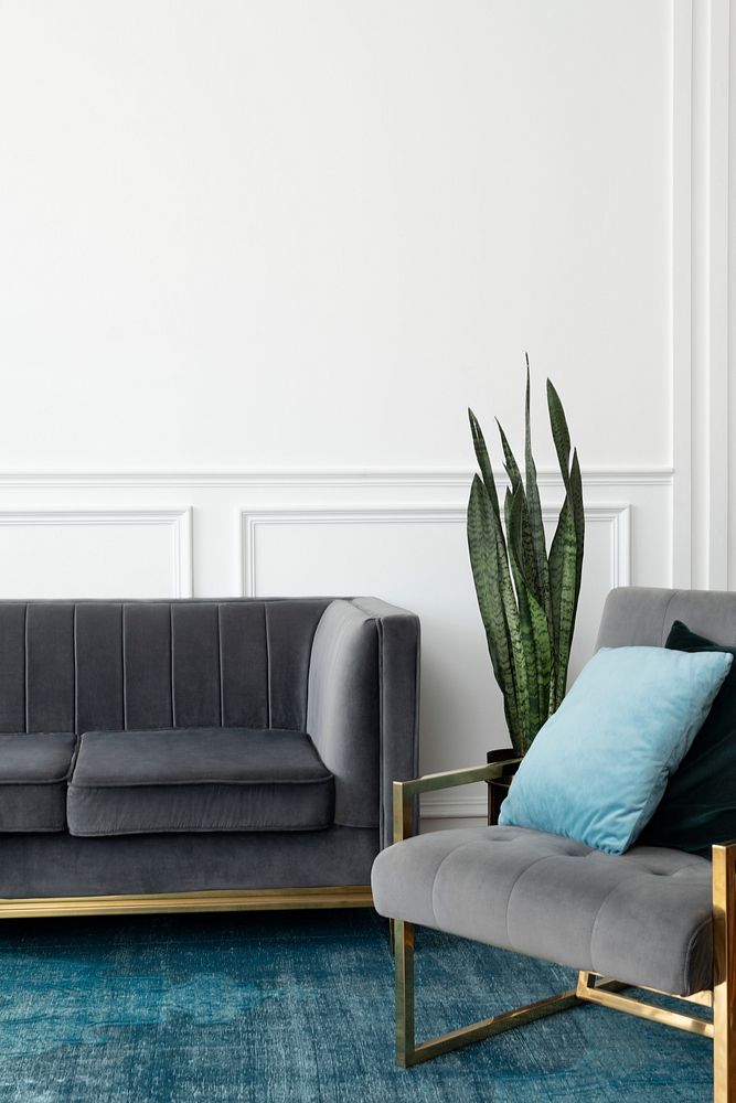 Chic mid-century modern luxury aesthetics living room with gray velvet couch and blue rug