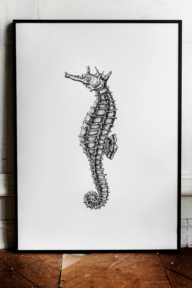 Photo frame mockup with a seahorse drawing