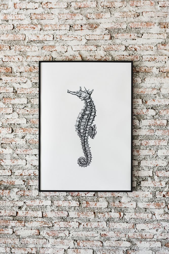 Photo of hand drawing seahorse is hanging on the wall