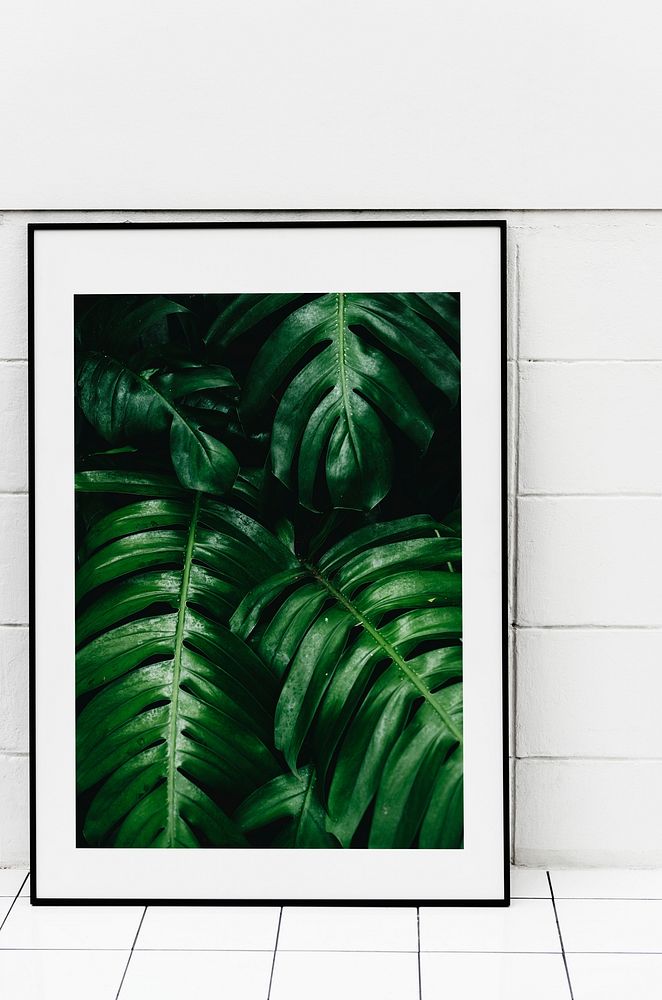 Photo frame of plant leaves