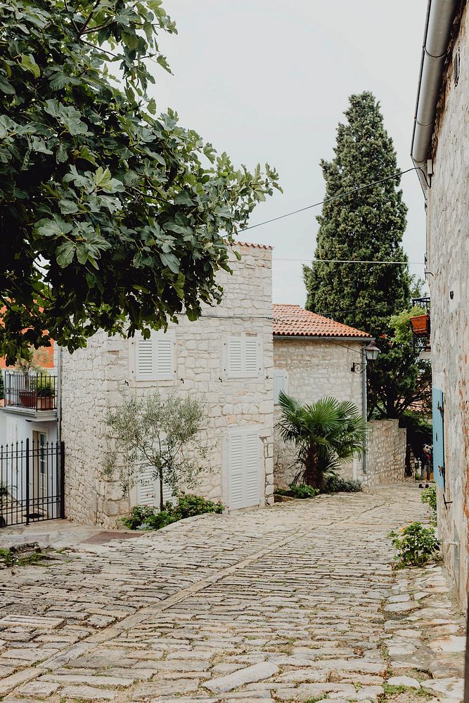 narrow-and-bumpy-walkway-in-croatia-premium-photo-rawpixel