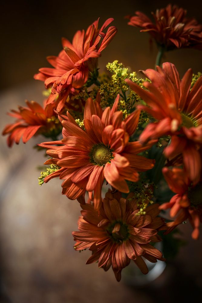 Gerbera daisy bouquet in a vase