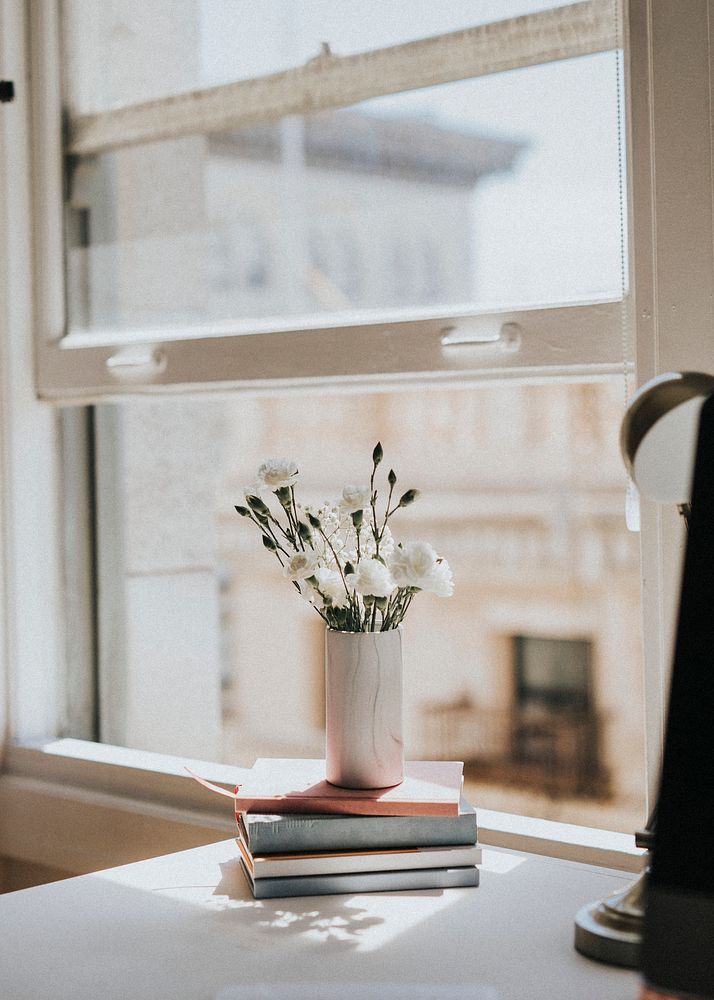 Blooming white carnations in a vase by a window