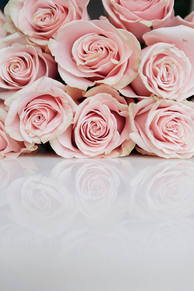 Bouquet of pink roses social template