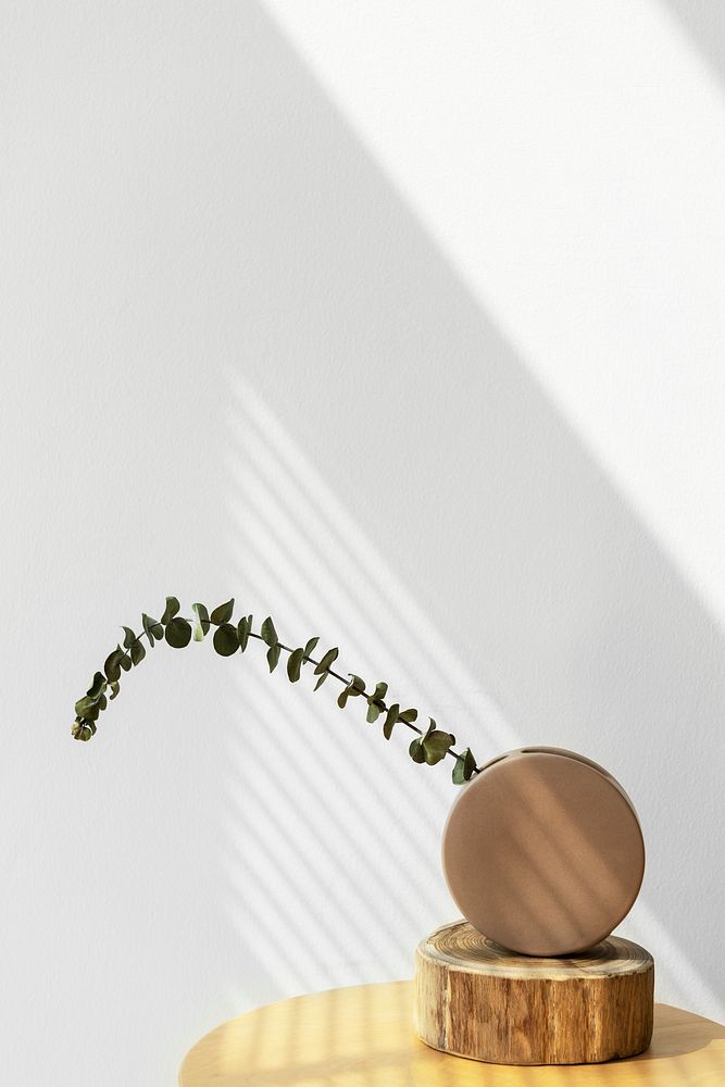 Eucalyptus branch in a round wooden vase