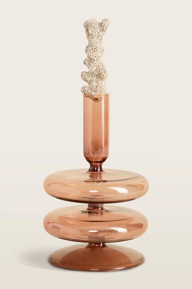 White coral on the top of the glass vase