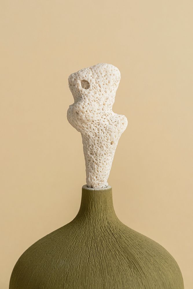 Beige coral on top of green vase