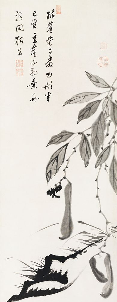 Bean Vine illustration by Ito Jakuchu (1716&ndash;1800). Original from The MET Museum. Digitally enhanced by rawpixel.