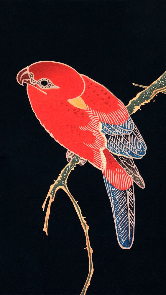 Vintage bird mobile wallpaper, iPhone background, Red Parrot on the Branch of a Tree, remix from the artwork of Ito Jakuchu