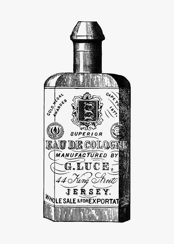 Cologne bottle illustration vector
