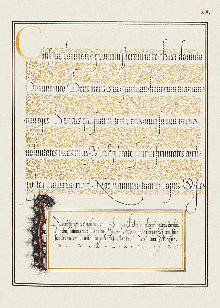 Dagger from Mira Calligraphiae Monumenta or The Model Book of Calligraphy (1561&ndash;1596) by Georg Bocskay and Joris…