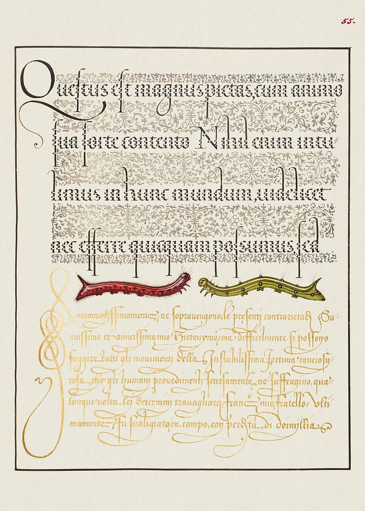 Caterpillars from Mira Calligraphiae Monumenta or The Model Book of Calligraphy (1561&ndash;1596) by Georg Bocskay and Joris…